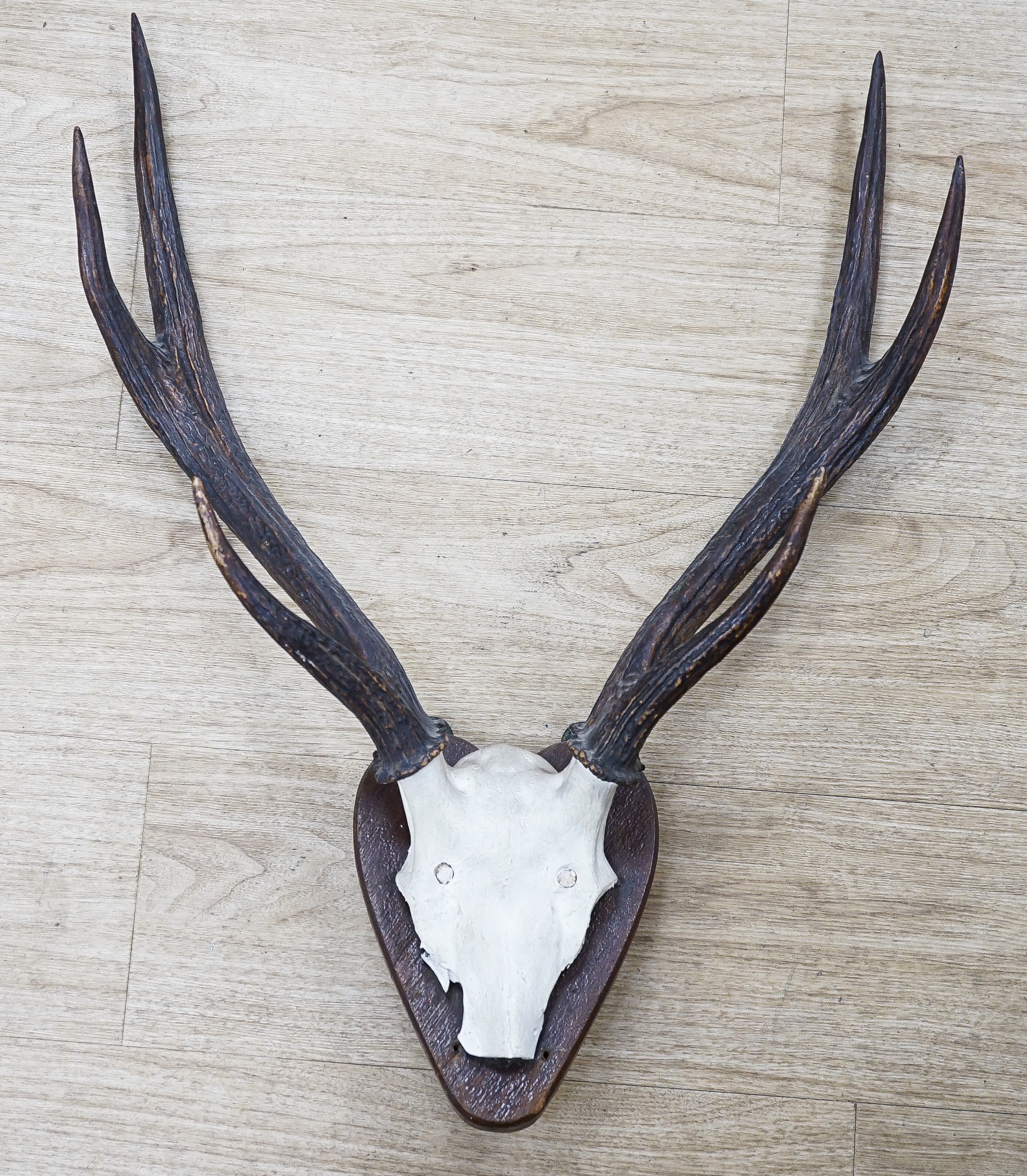 A six point wall-hanging stag antler cap